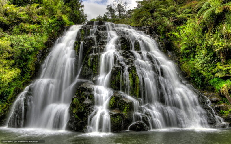Waterfall in lush forest