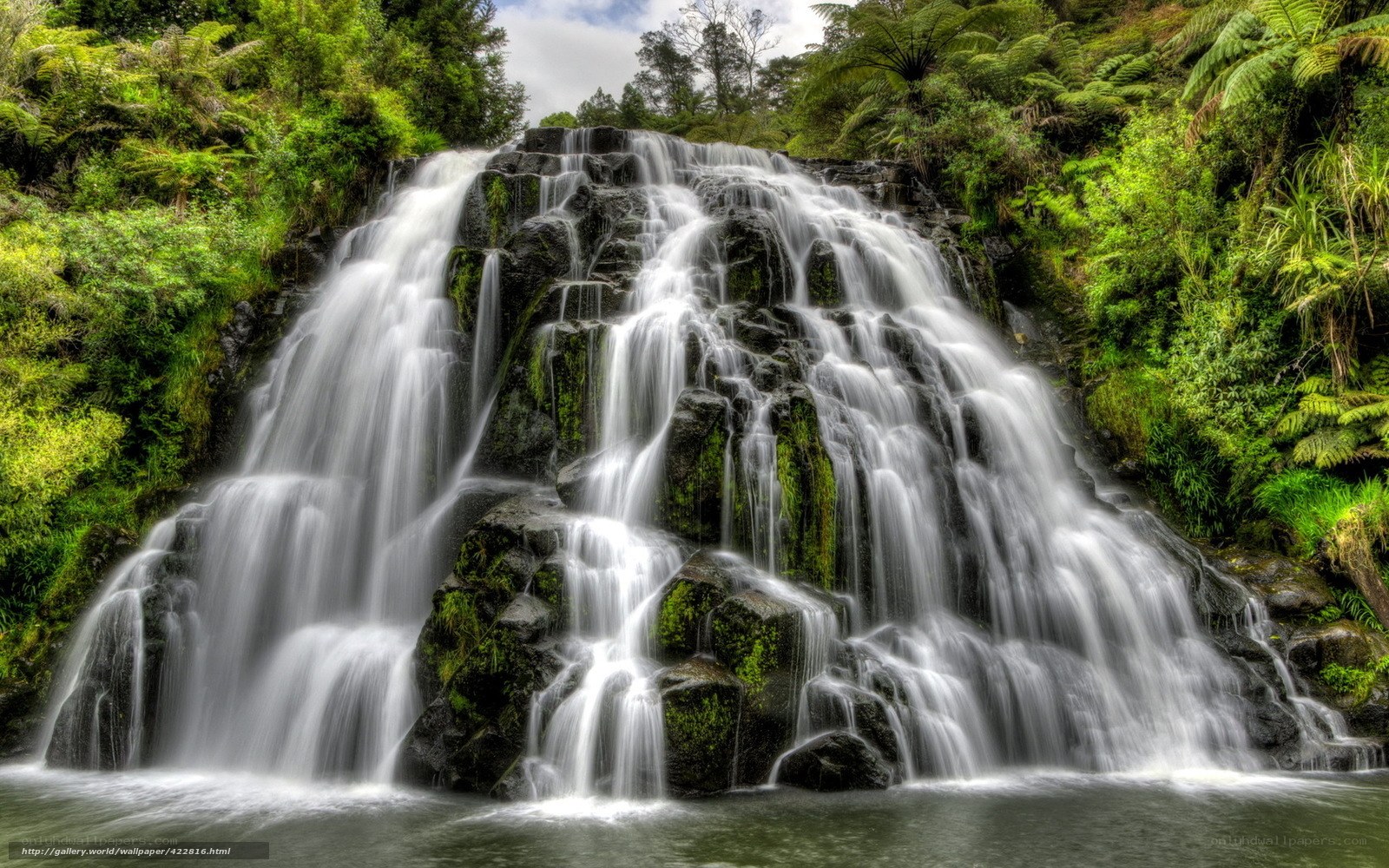 Waterfall in lush forest