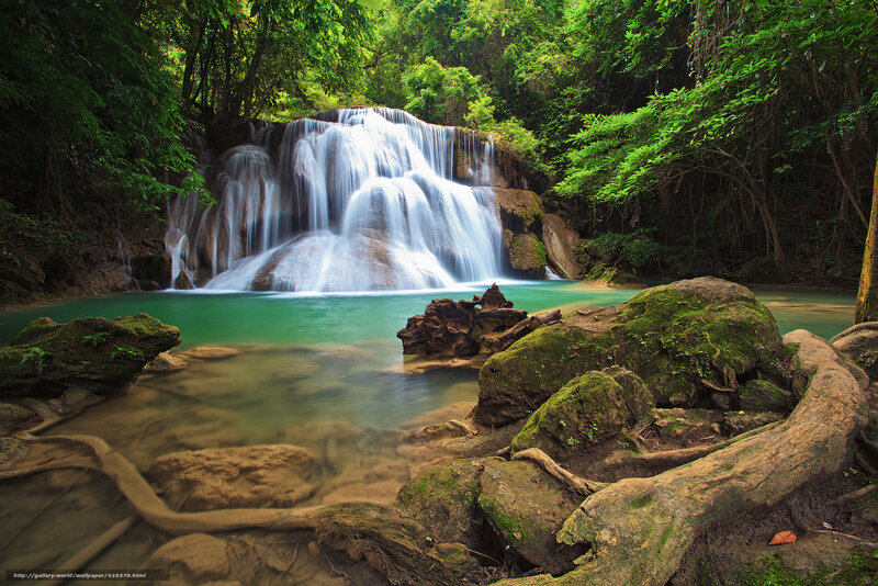Waterfall in lush forest