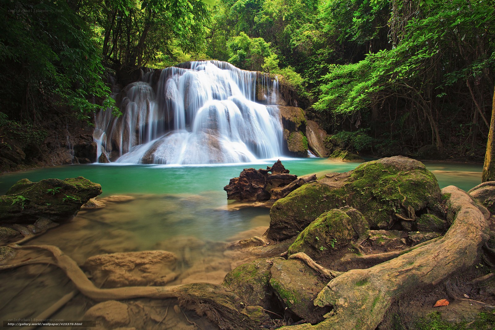 Waterfall in lush forest