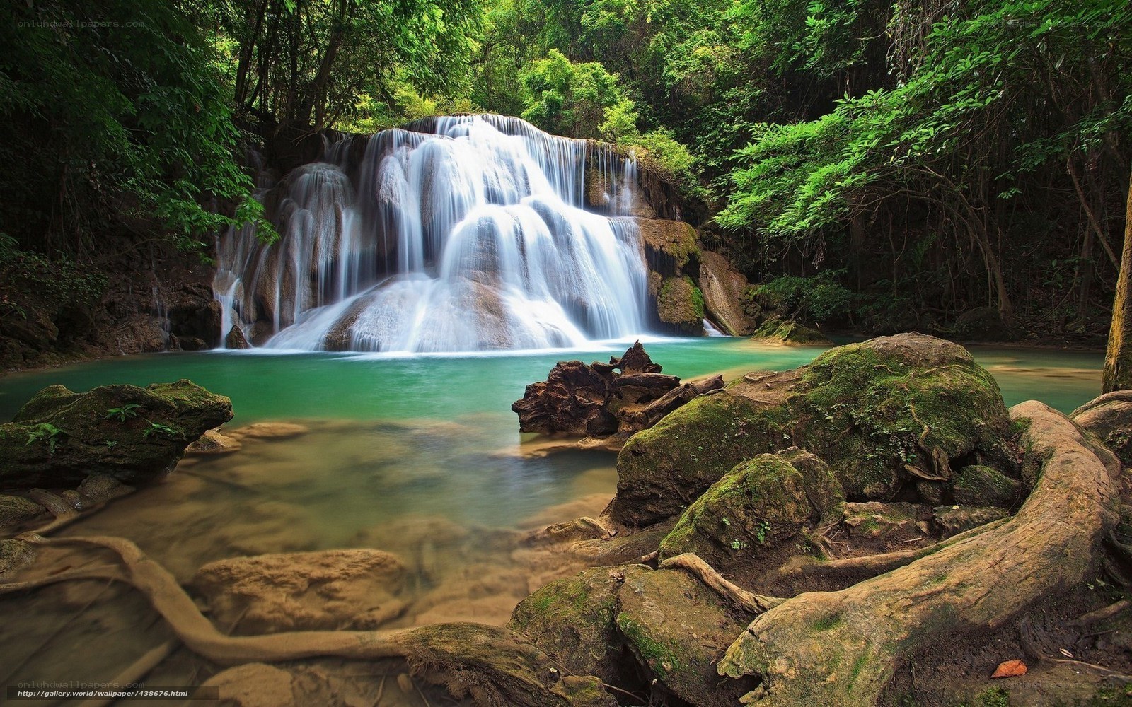 Waterfall in lush forest