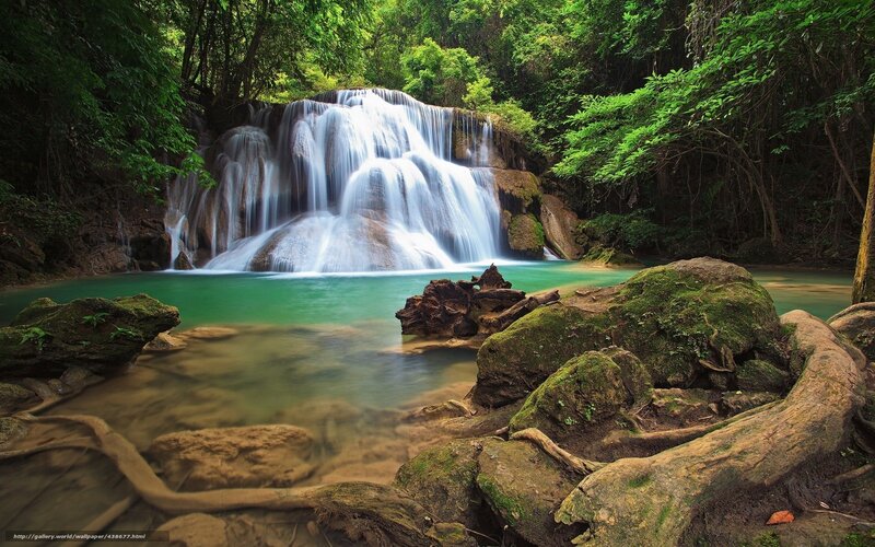 Waterfall in lush forest