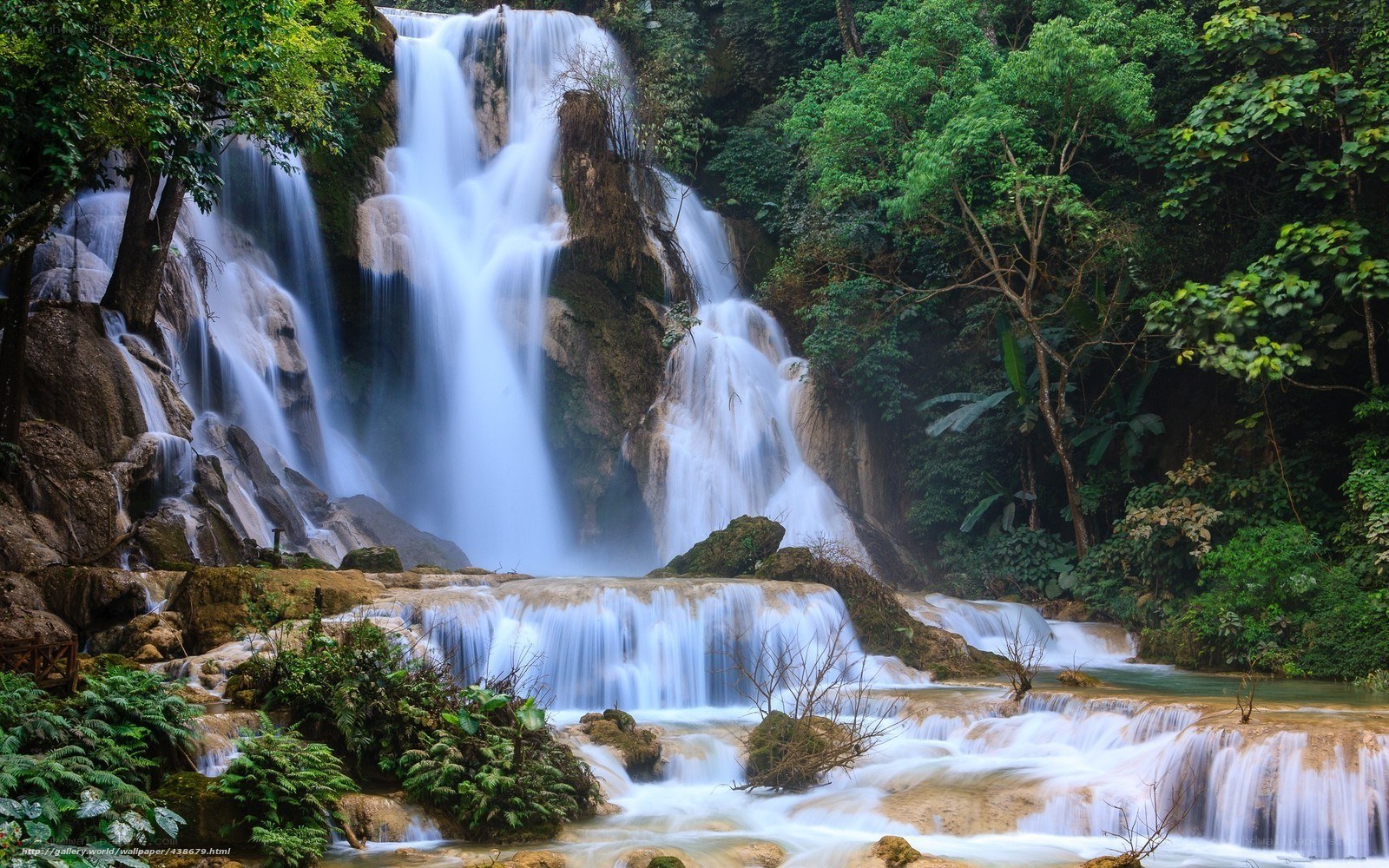 Waterfall in lush forest