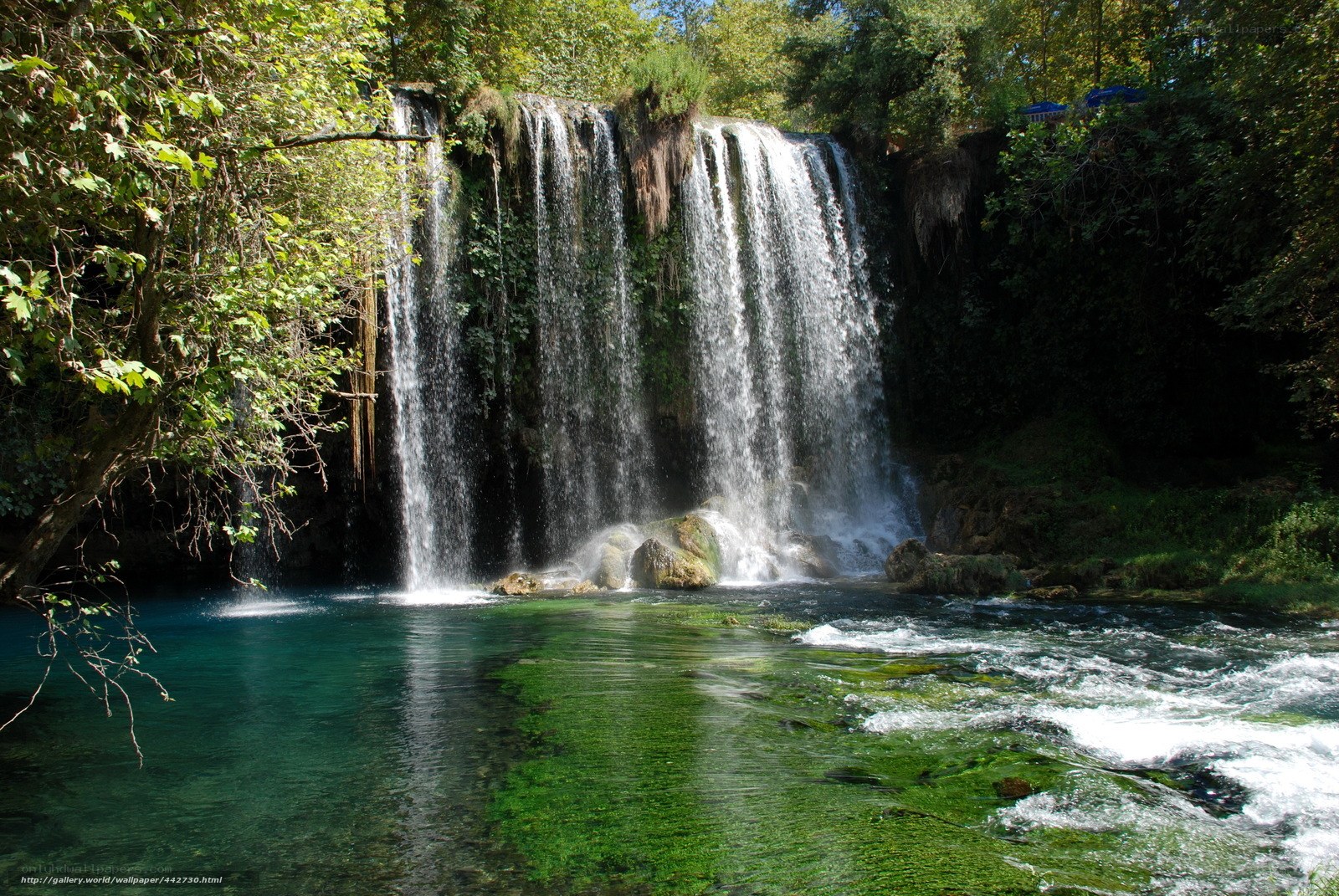 Waterfall in lush forest