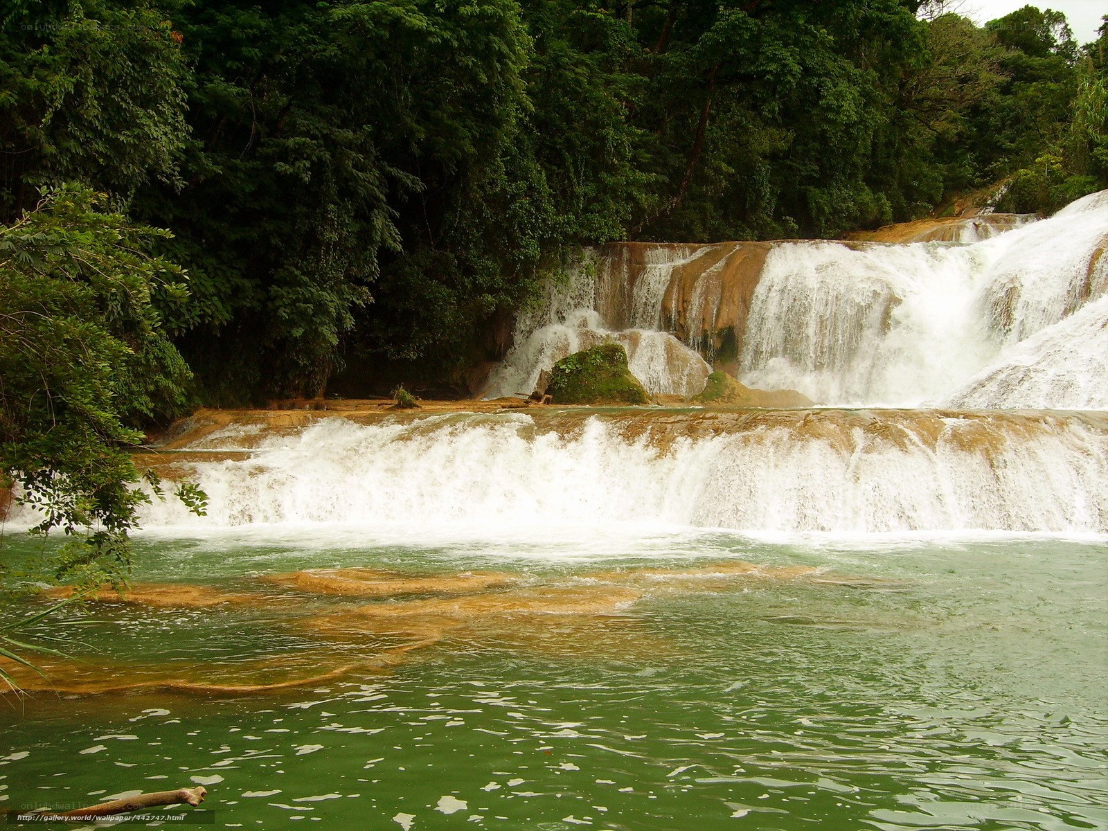 Waterfall in lush forest