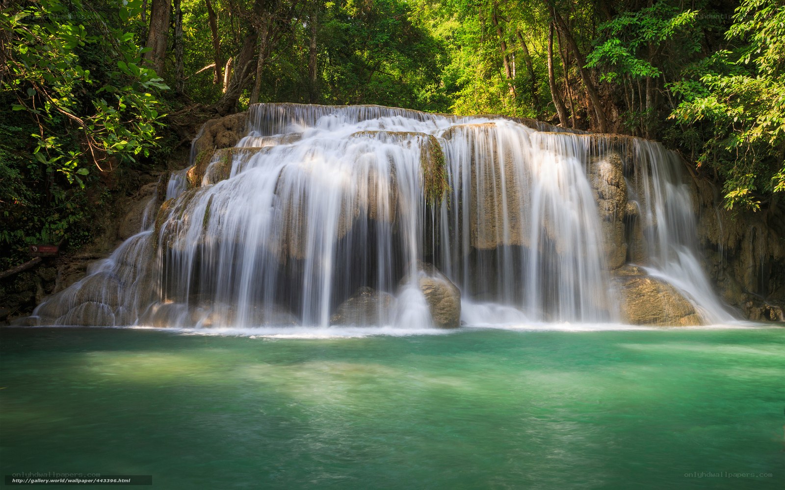 Waterfall in lush forest