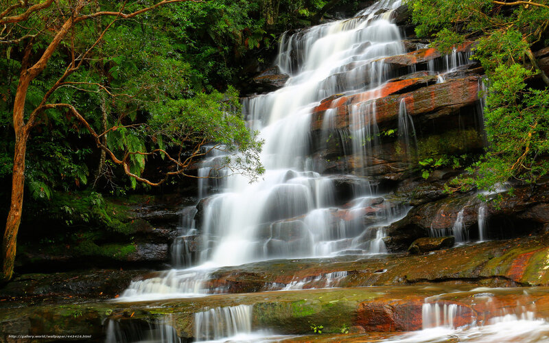 Waterfall in lush forest