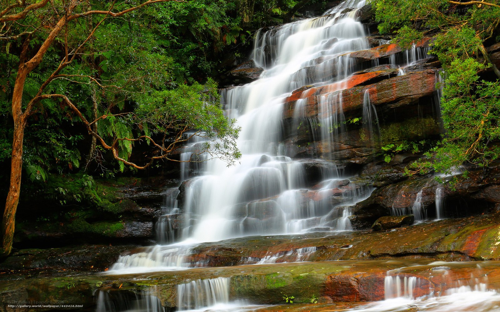 Waterfall in lush forest
