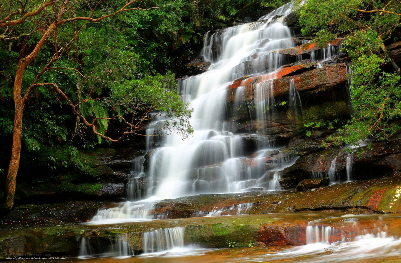 Waterfall in lush forest