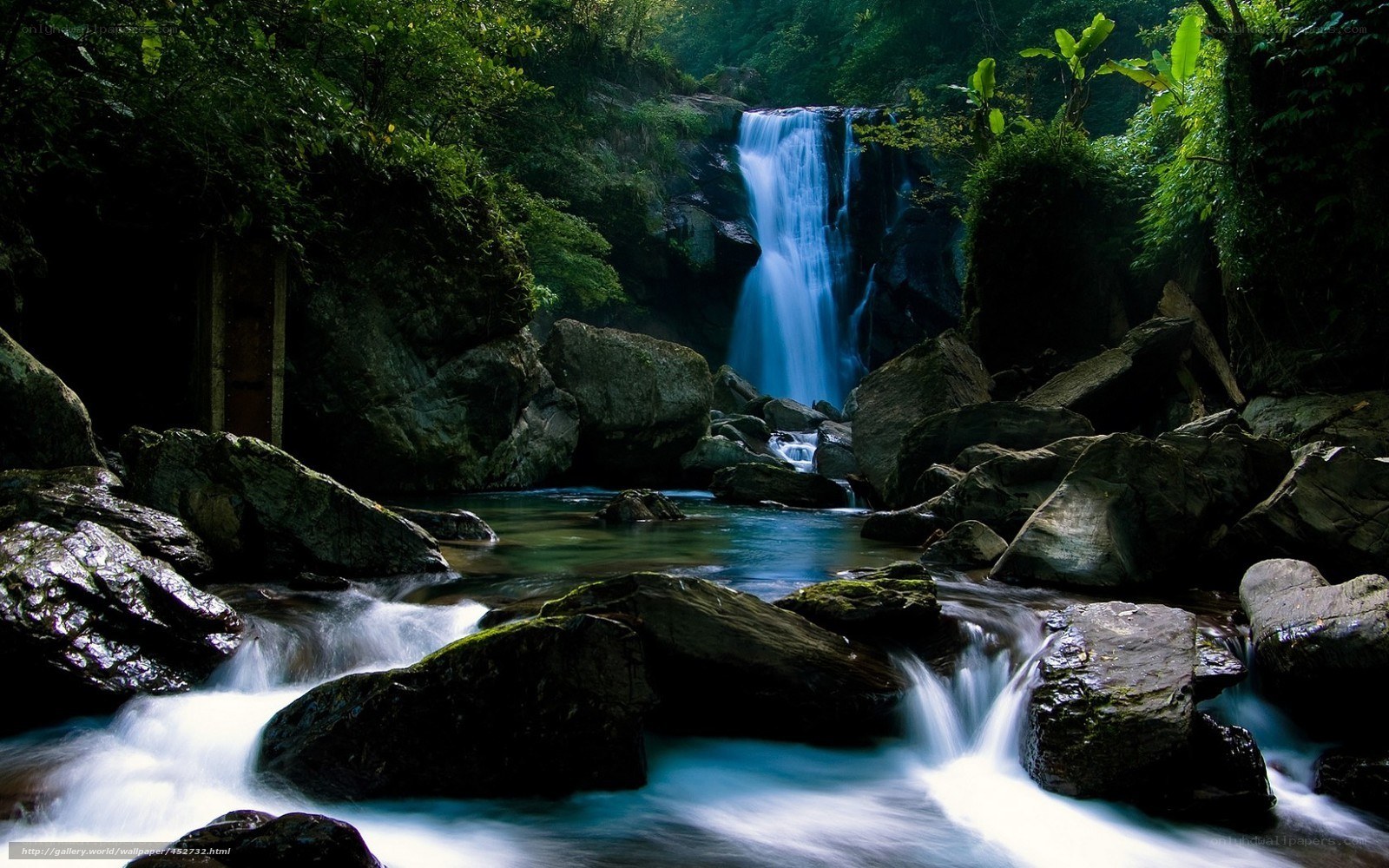 Waterfall in lush forest
