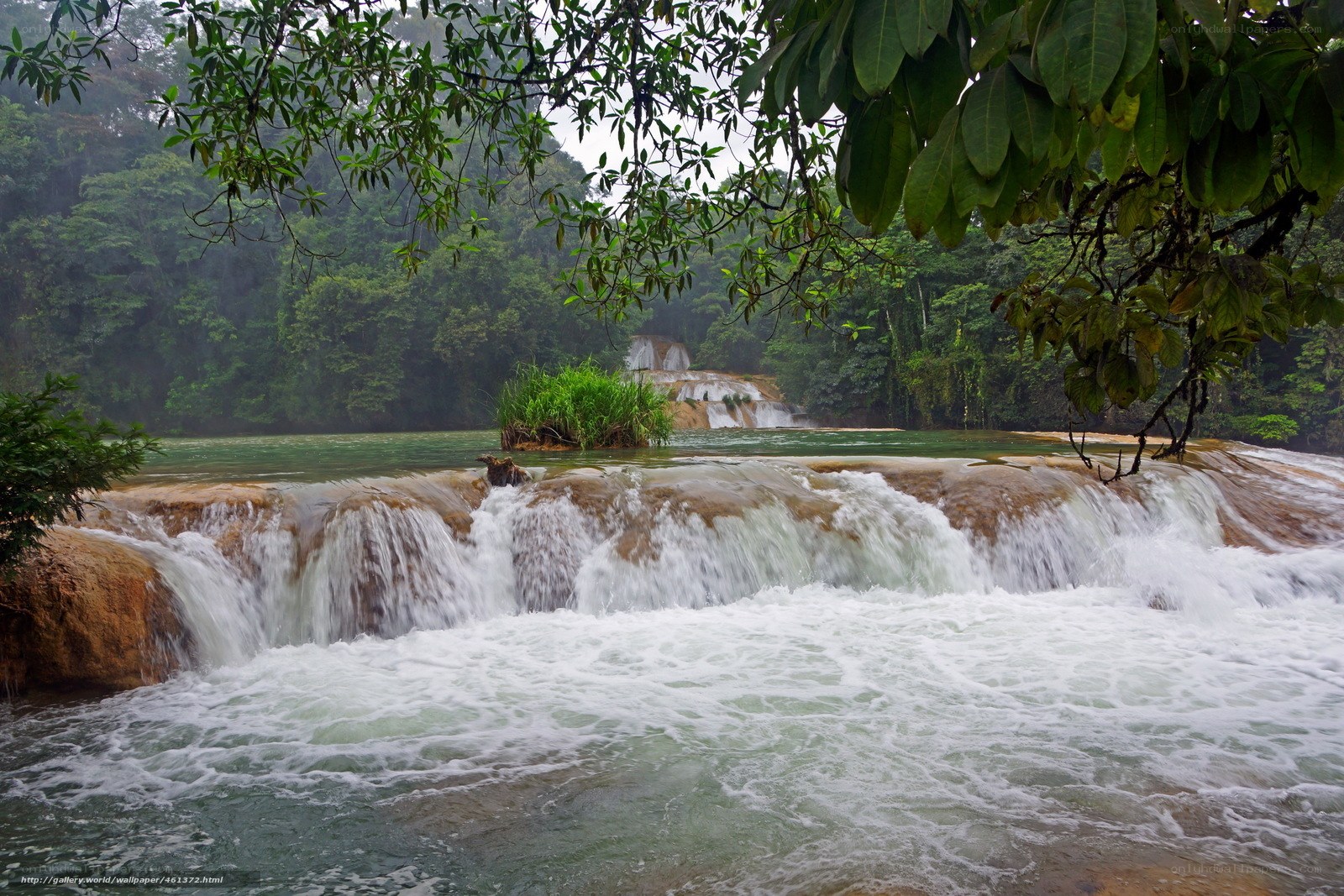 Waterfall in lush forest