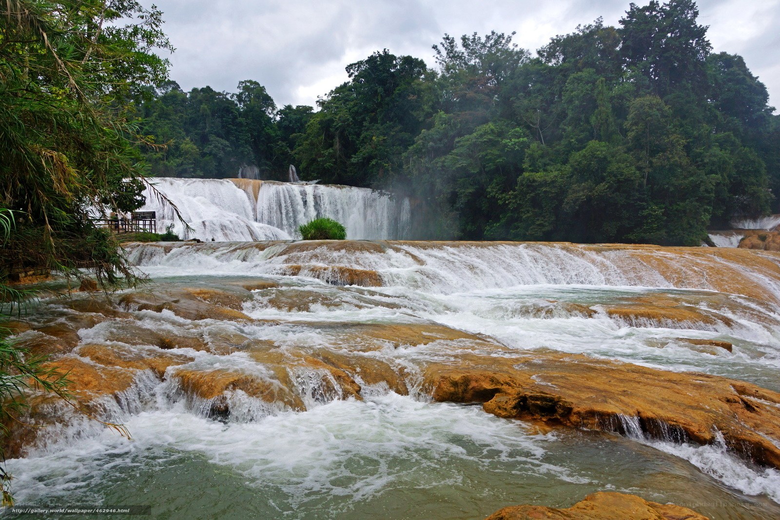 Waterfall in lush forest
