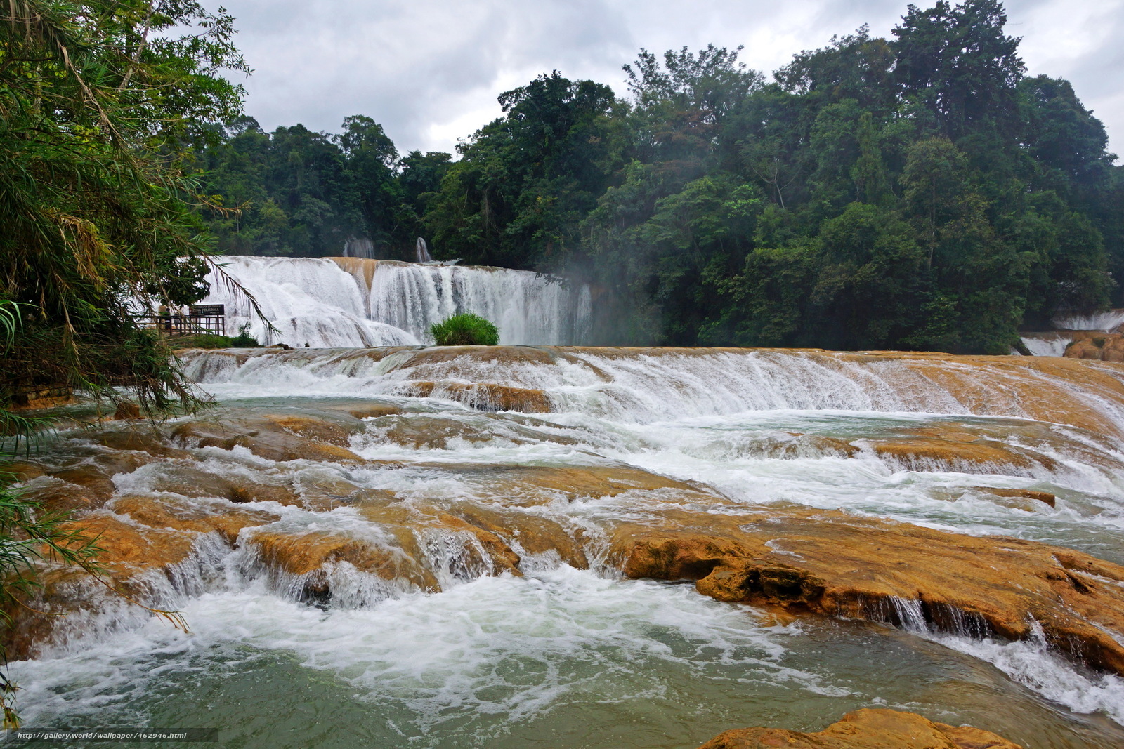 Waterfall in lush forest
