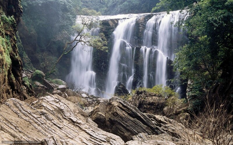 Waterfall in lush forest