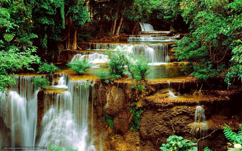 Waterfall in lush forest
