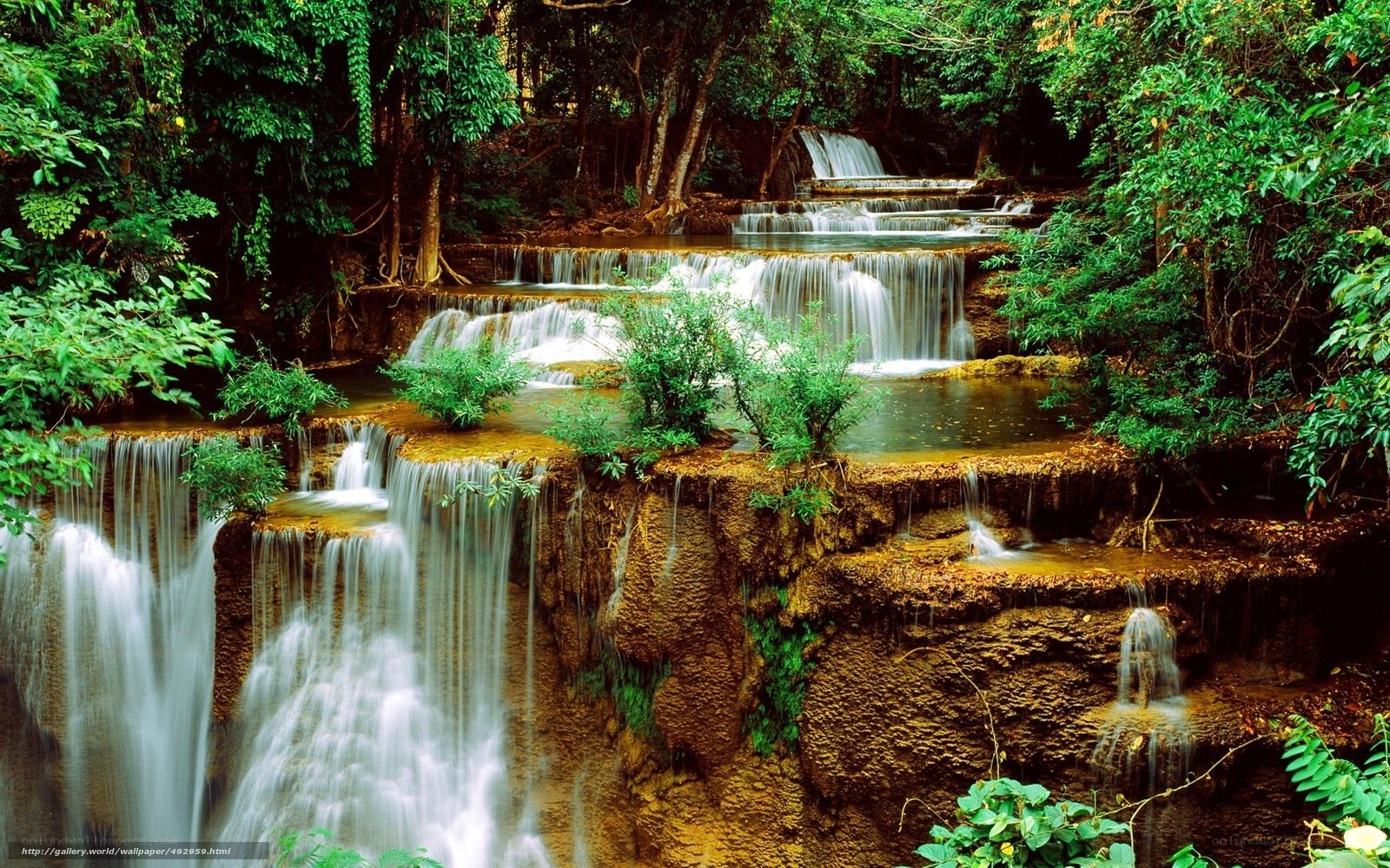 Waterfall in lush forest
