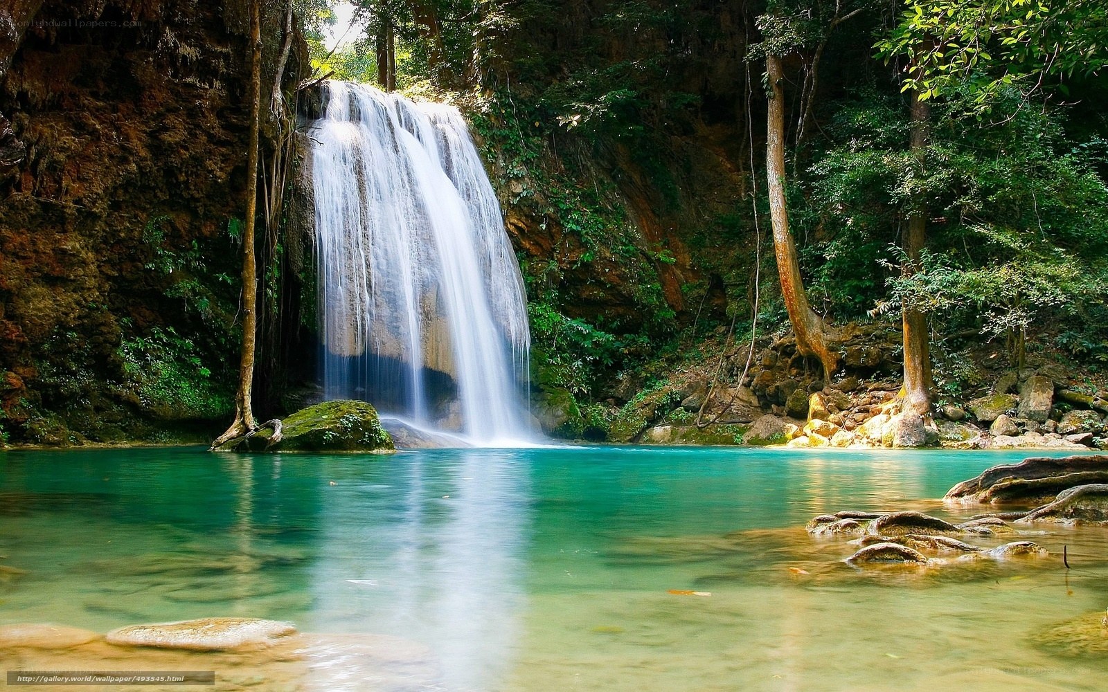 Waterfall in lush forest