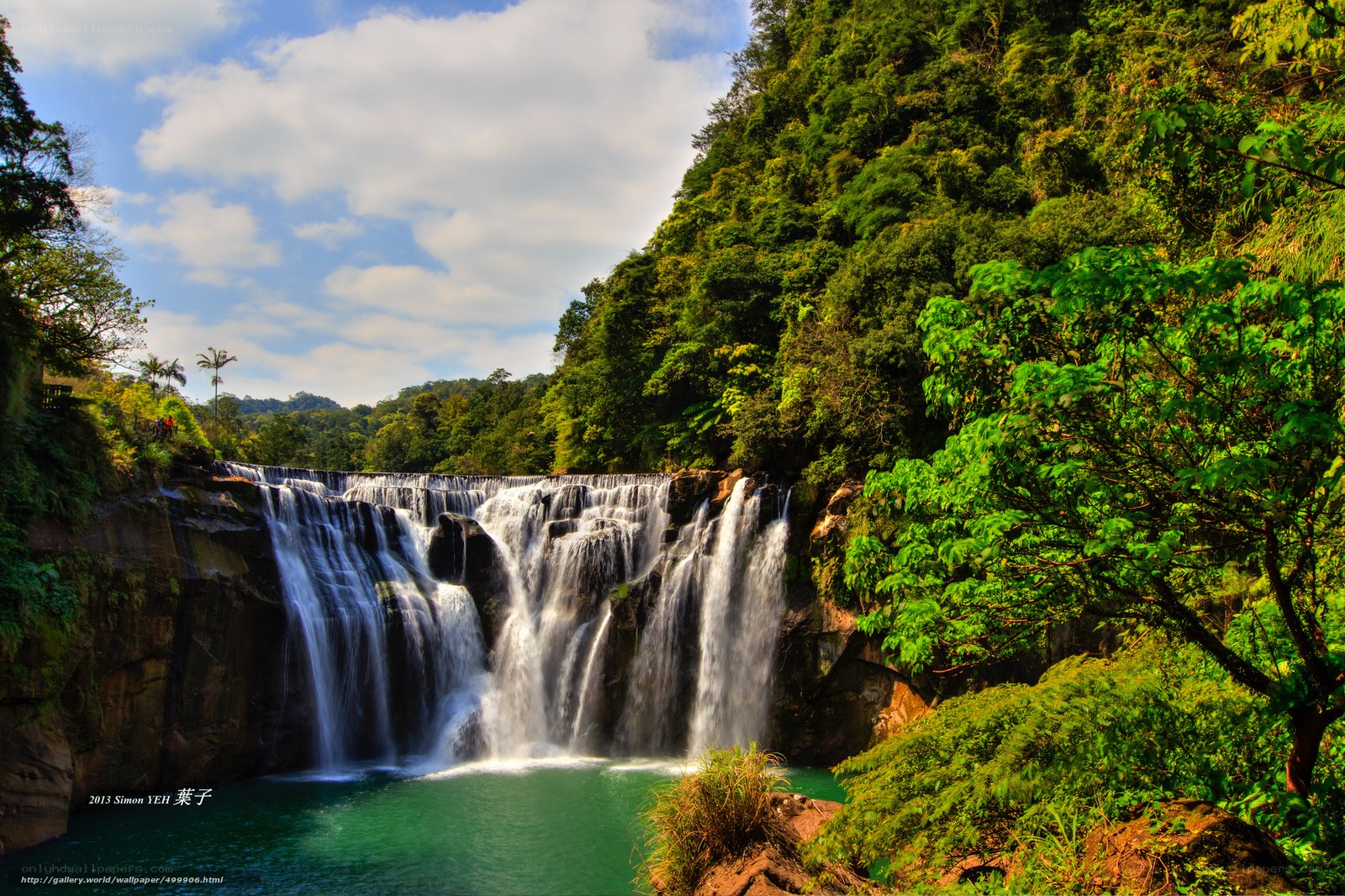 Waterfall in lush forest