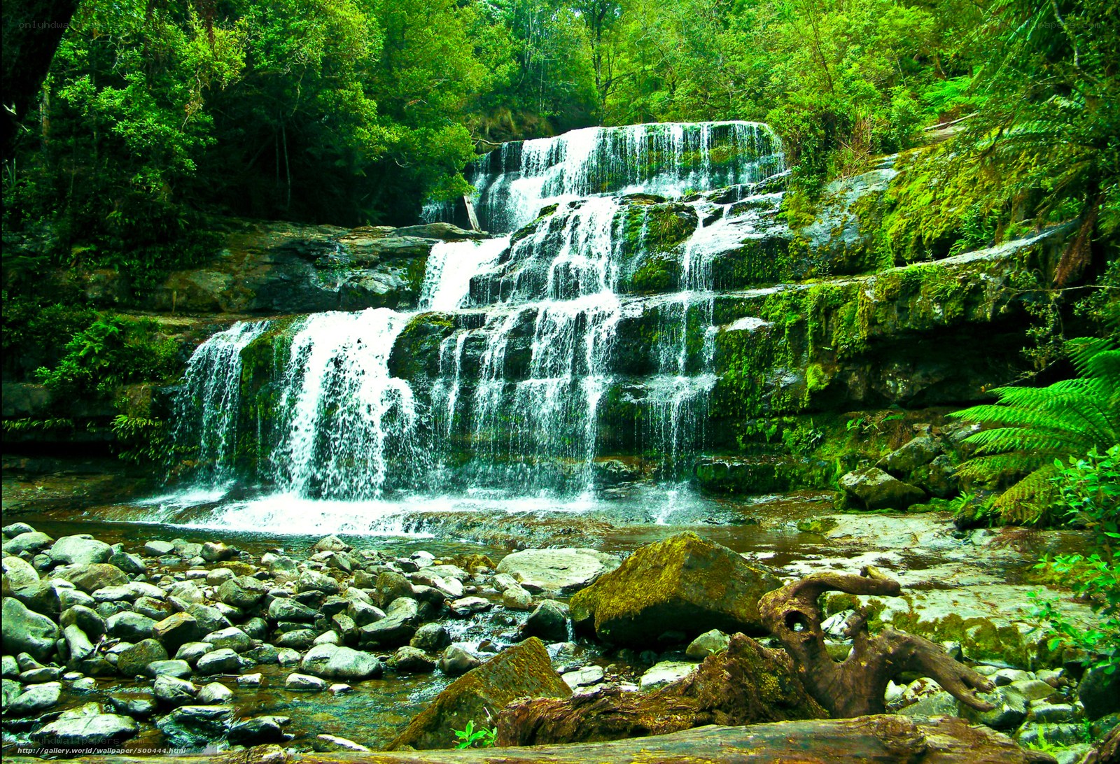 Waterfall in lush forest