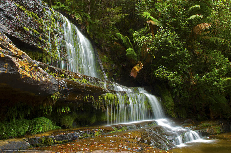 Waterfall in lush forest