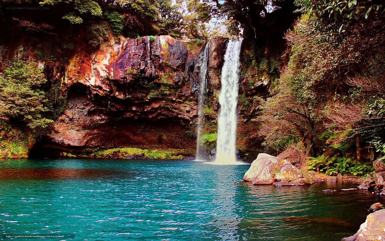 Waterfall in lush forest