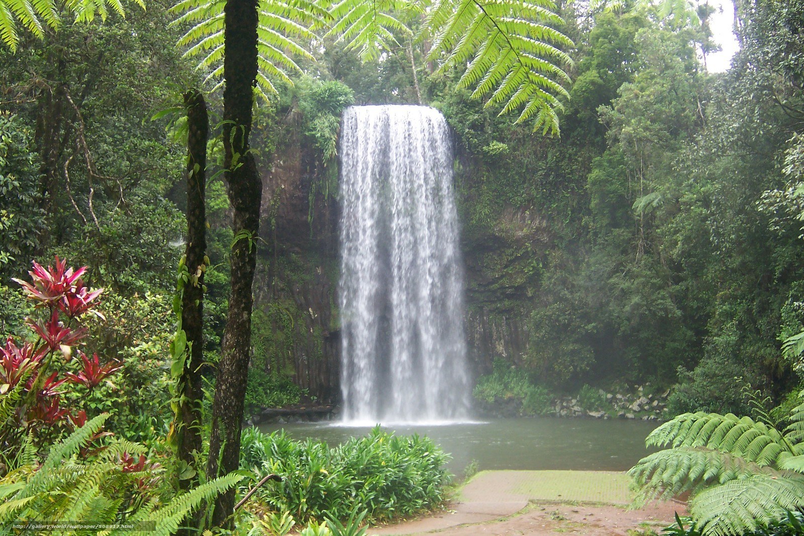 Waterfall in lush forest