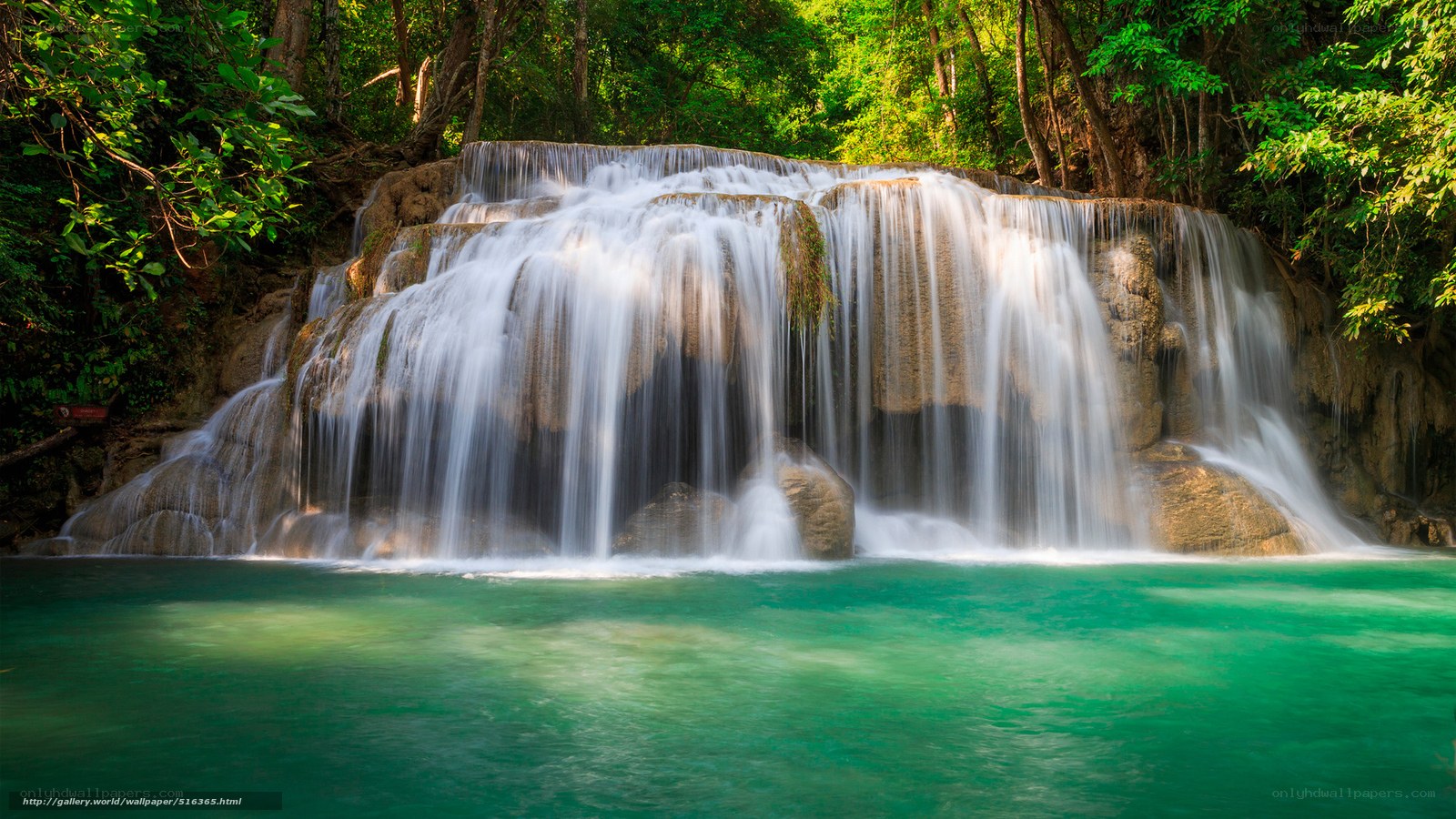 Waterfall in lush forest