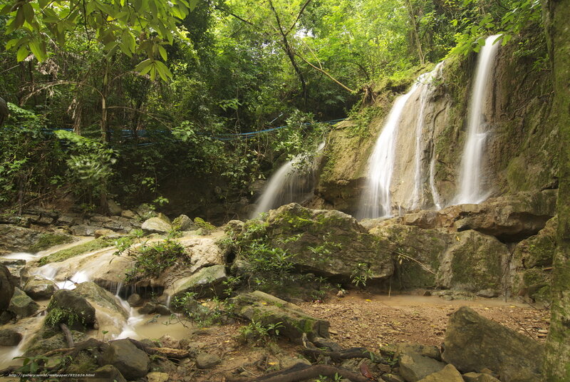 Waterfall in lush forest