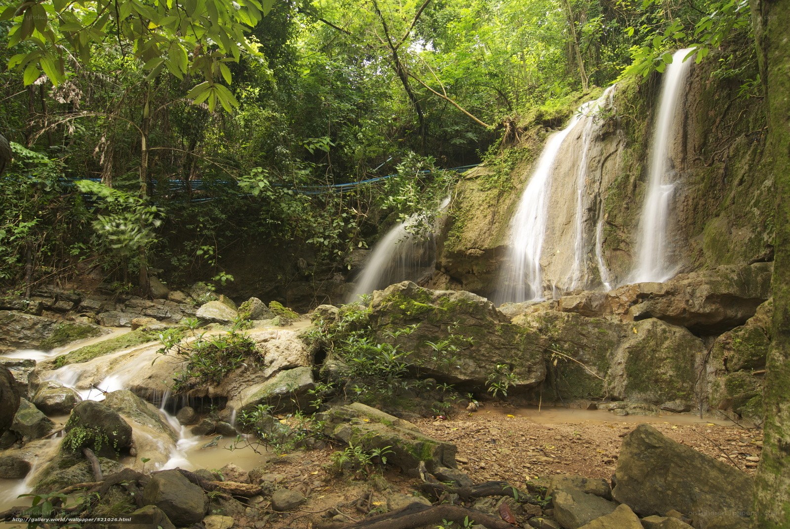 Waterfall in lush forest