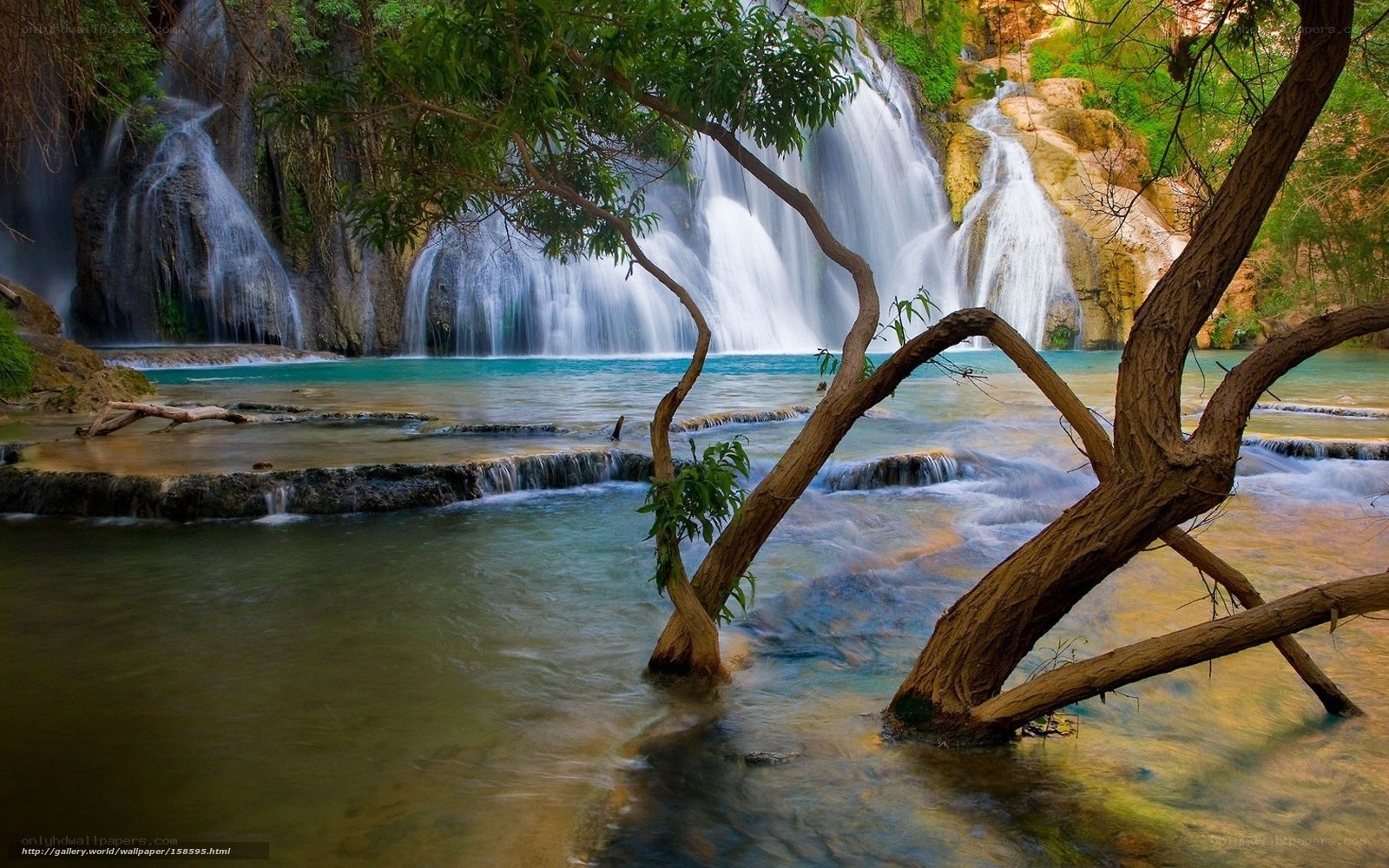 Waterfall in lush forest
