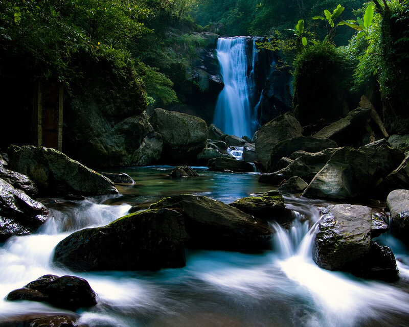 Waterfall in lush forest