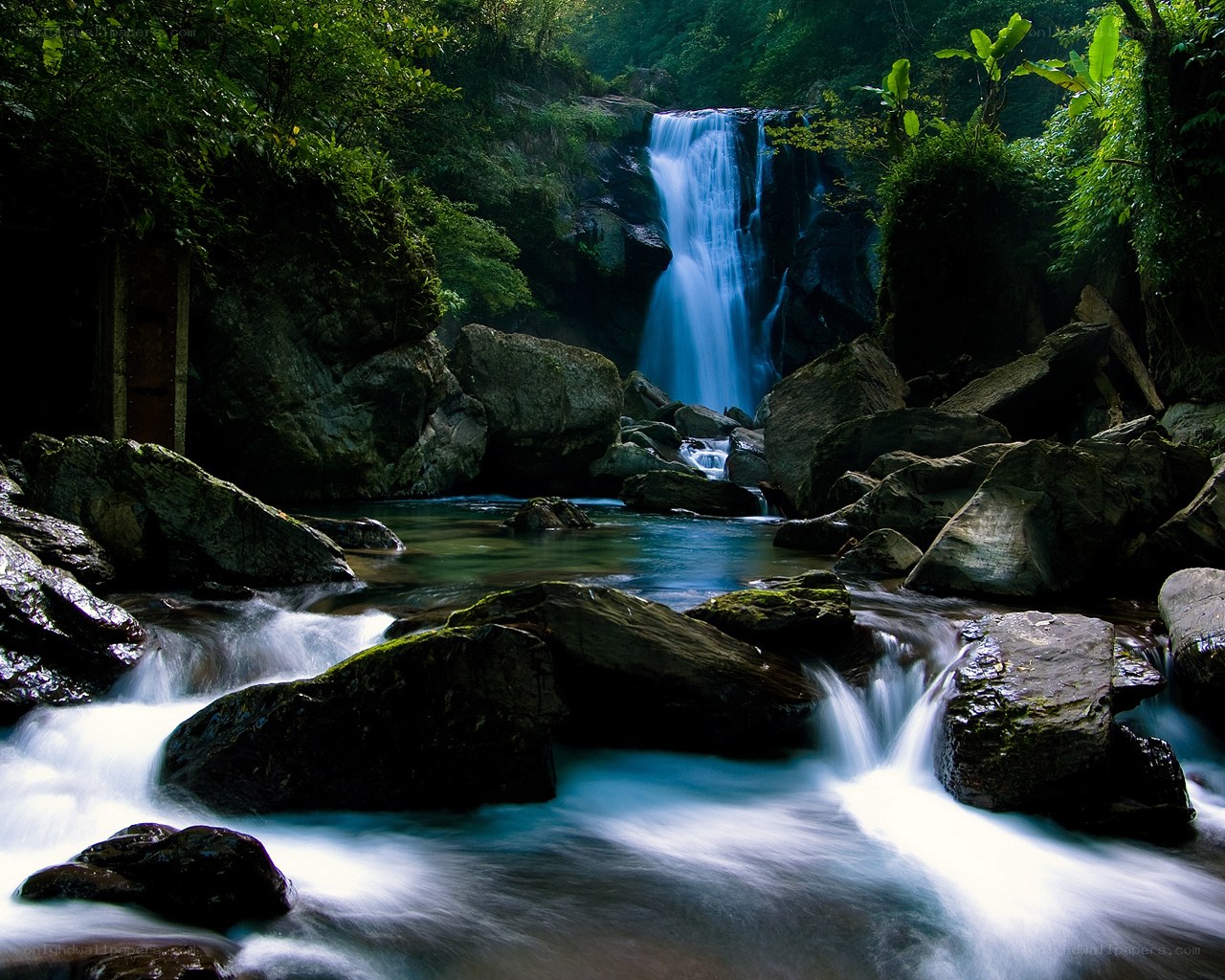 Waterfall in lush forest