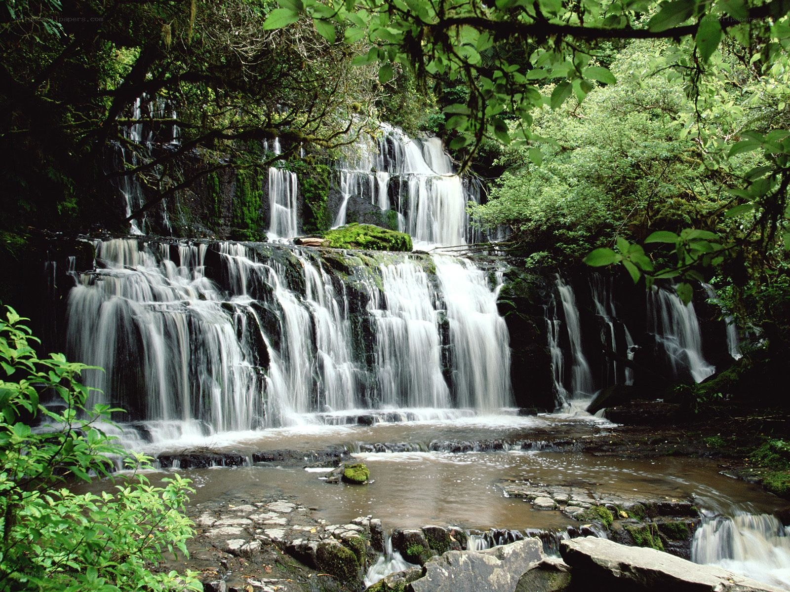 Waterfall in lush forest