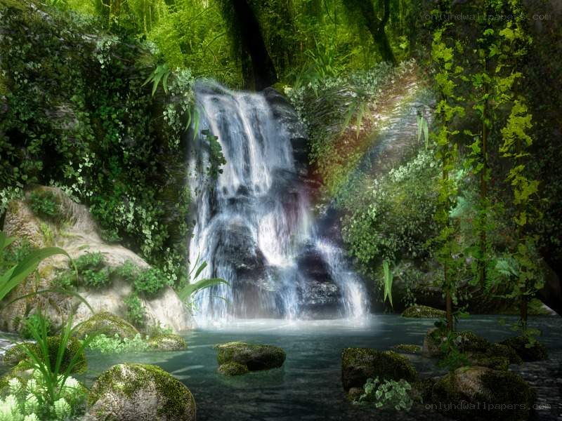 Waterfall in lush forest