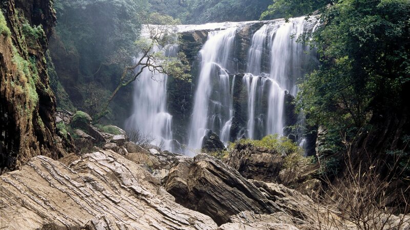 Waterfall in lush forest