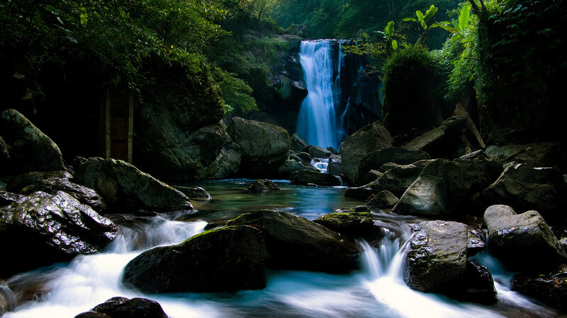 Waterfall in lush forest