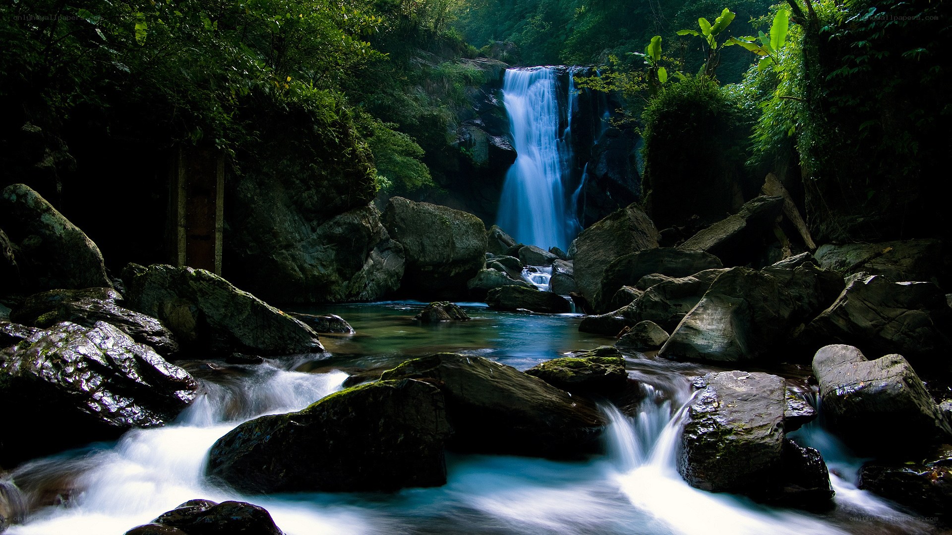 Waterfall in lush forest