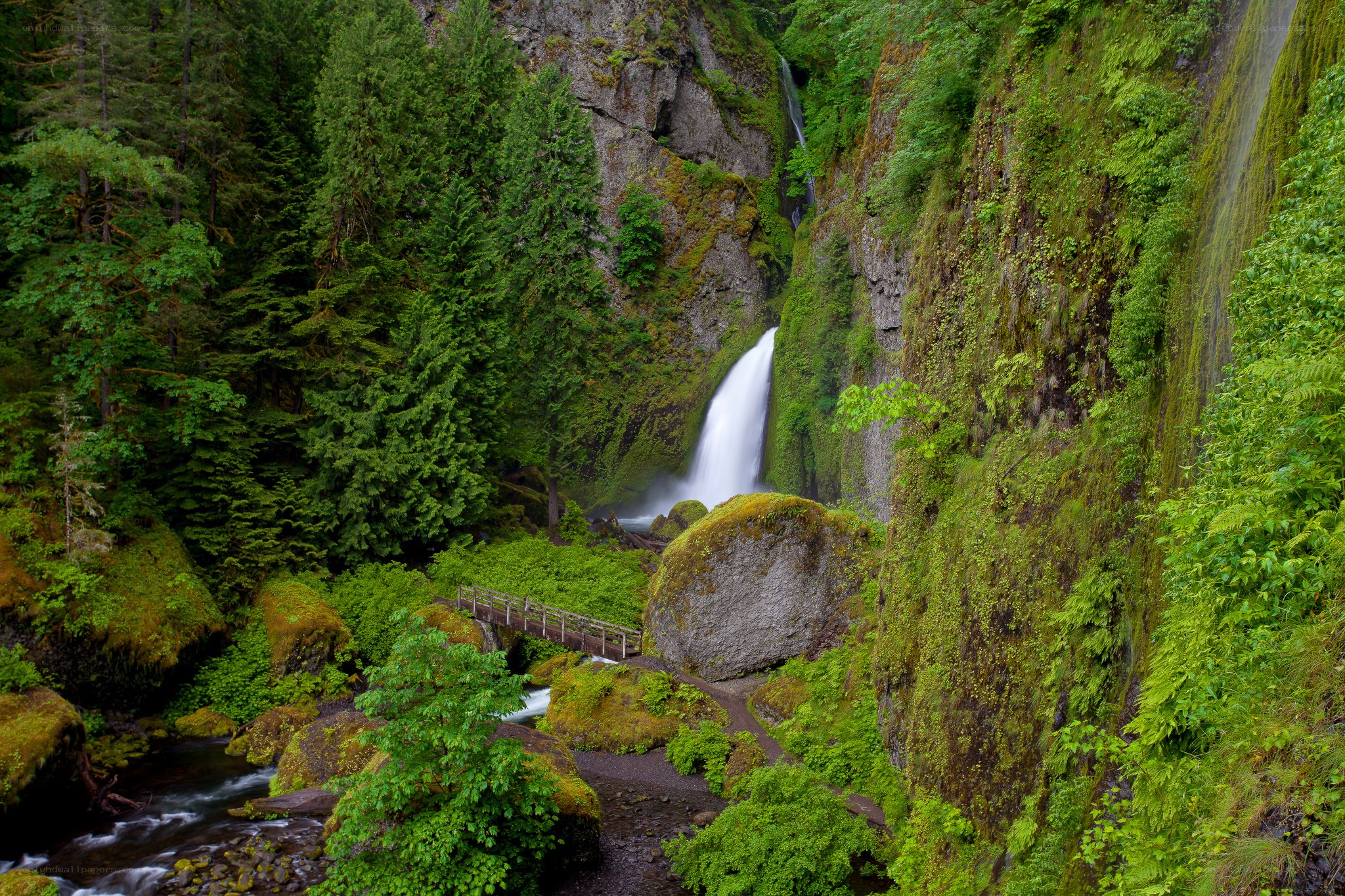 Waterfall in lush forest canyon