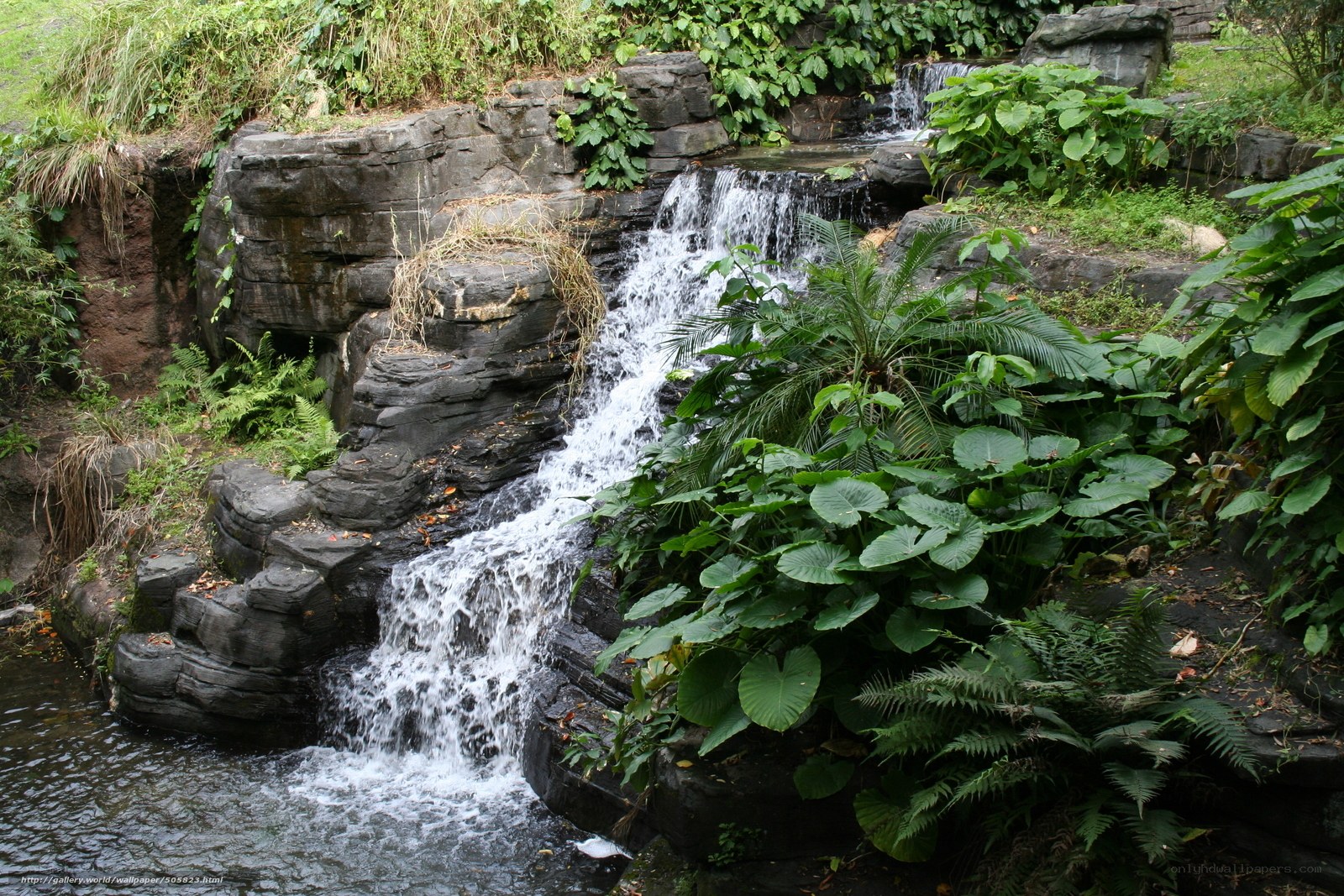 Waterfall in lush garden