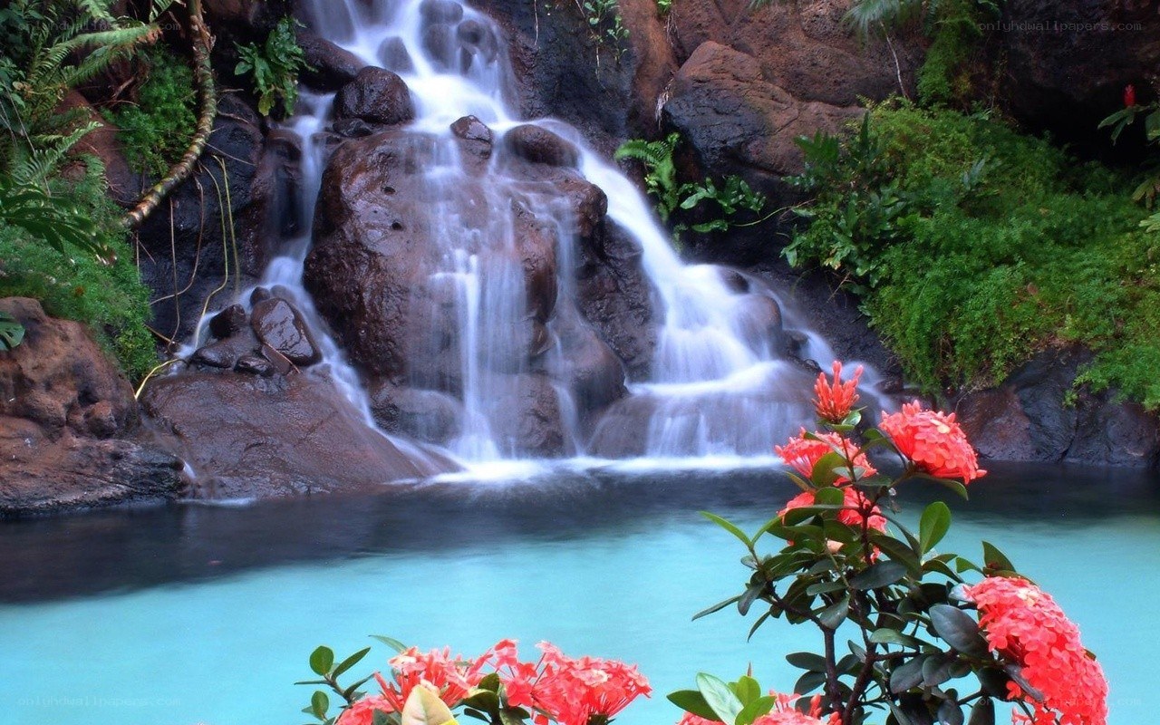 Waterfall in lush garden