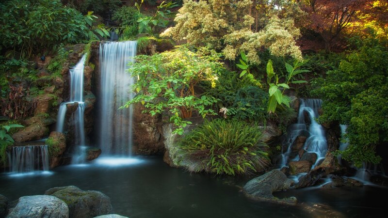 Waterfall in lush garden