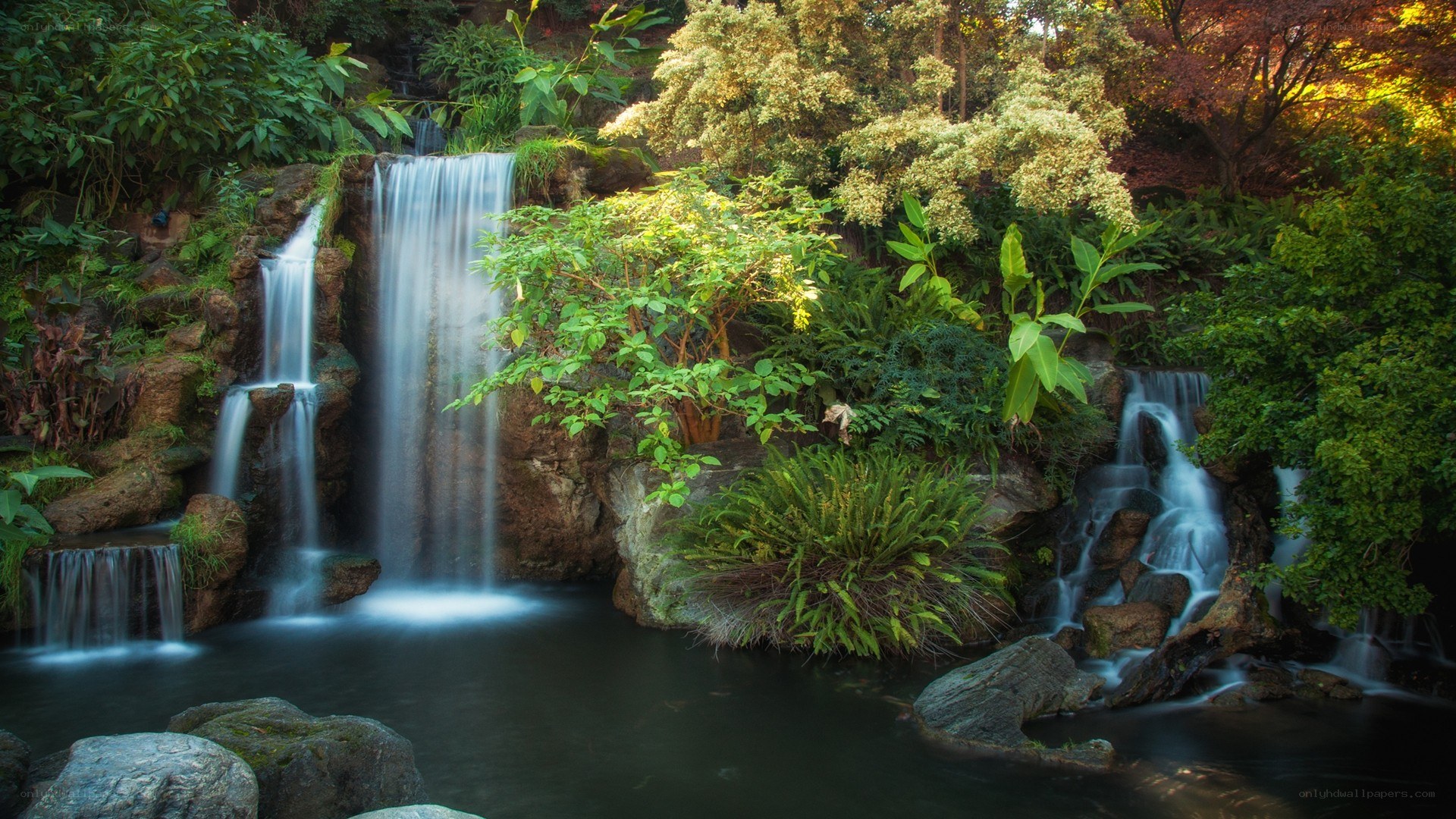 Waterfall in lush garden