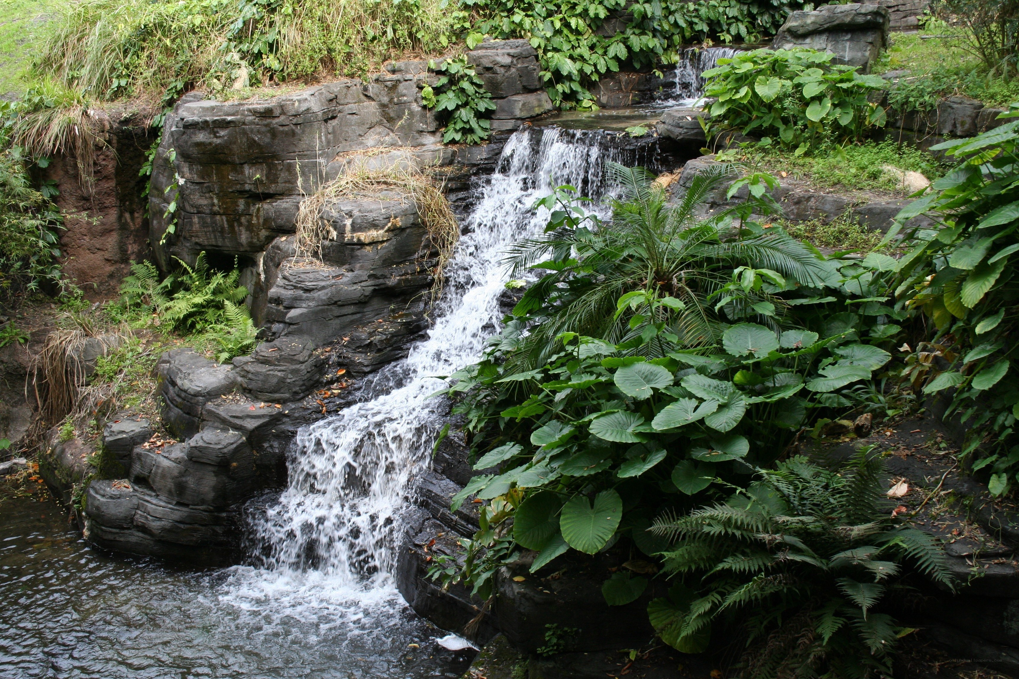 Waterfall in lush garden