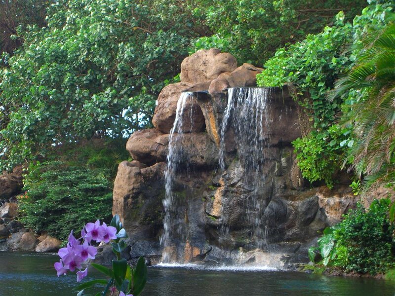Waterfall in lush garden
