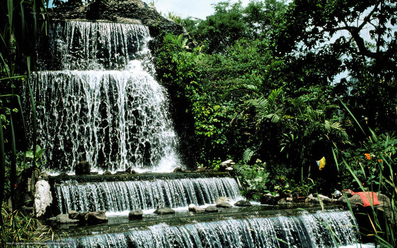 Waterfall in lush garden