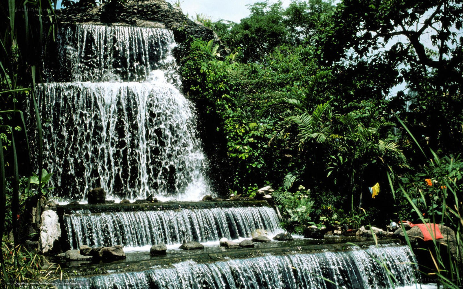 Waterfall in lush garden
