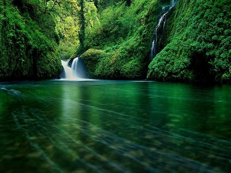 Waterfall in lush green canyon