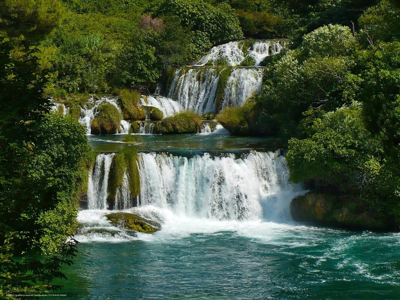 Waterfall in lush green forest
