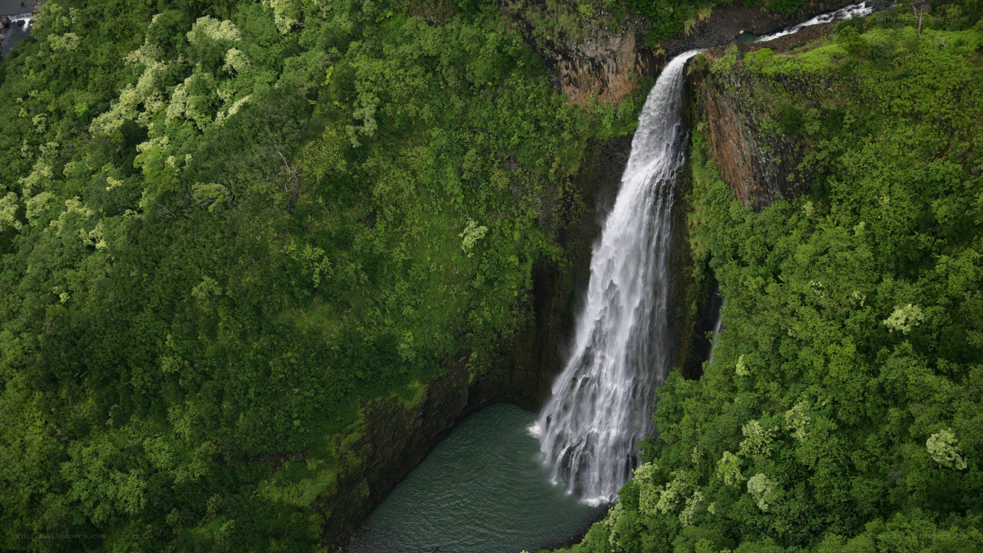 Waterfall in lush green forest