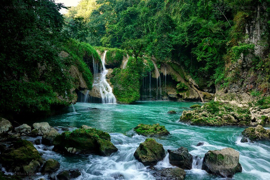 Waterfall in lush green forest
